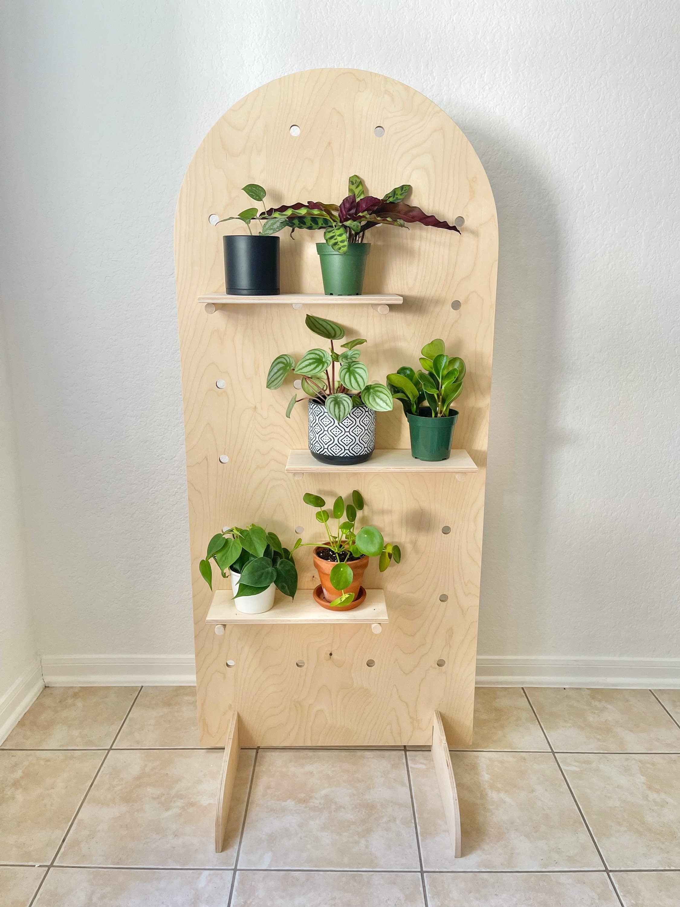 Curved Pop Up Display Stand